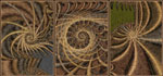 Triptych 17