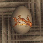 oeuf de dragon