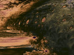 vue sous-marine