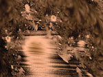 jardin de bois