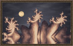 clair de lune