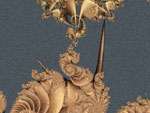coquillages marins