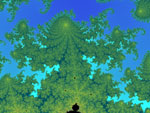 Arbres