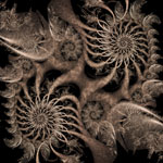 Turbinado 2 spirales