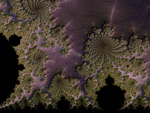 <a href="pages/0312/20010508.htm">nature organique</a>