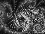Old Phoenix (spirales)
