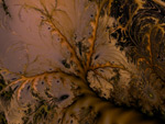 <a href="pages/0401/20010214.htm">v&eacute;g&eacute;tation sauvage</a>
