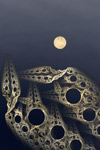 pleine lune (insolite)