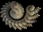 coquille de pierre