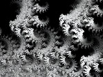 hivernal