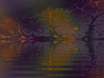 petits arbres (reflets dans l'eau)