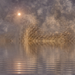 tableau impression