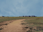 paysage