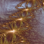 reflets dans l'eau
