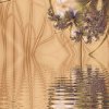   Swamp Dawn