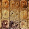   Sandstone Carving
