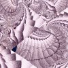  Gifs from the Sea
