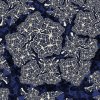   Lichen