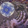   Fleur