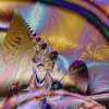   Pastel Light 1