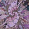   Spiral in Pink