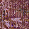   An Orderly Mind