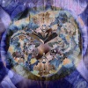   Womb of the World