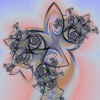   Arrangement