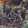   Tapestry Spiral