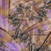 Study in Lavender