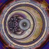  Meditation on a Circle