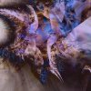  Layers of Consciousness