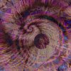  Spiral 13