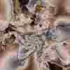   Inundation