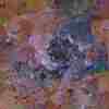   Crazy Quilt 3