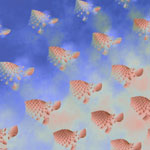  Sky Formation