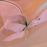   Damselfly