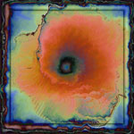  Papaver