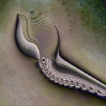   Fossil 4