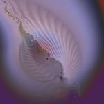   Gift from the Sea