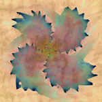   Pinwheel