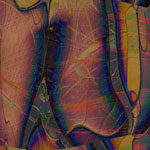  Awakenings