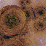   Circularity