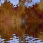   Celebrate Autumn