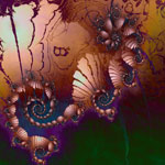   Once Upon a Spiral